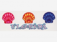 Glitter-/Folien-Bügelmotiv NS273 - Florida, Größe ca. 17 x 6 cm
